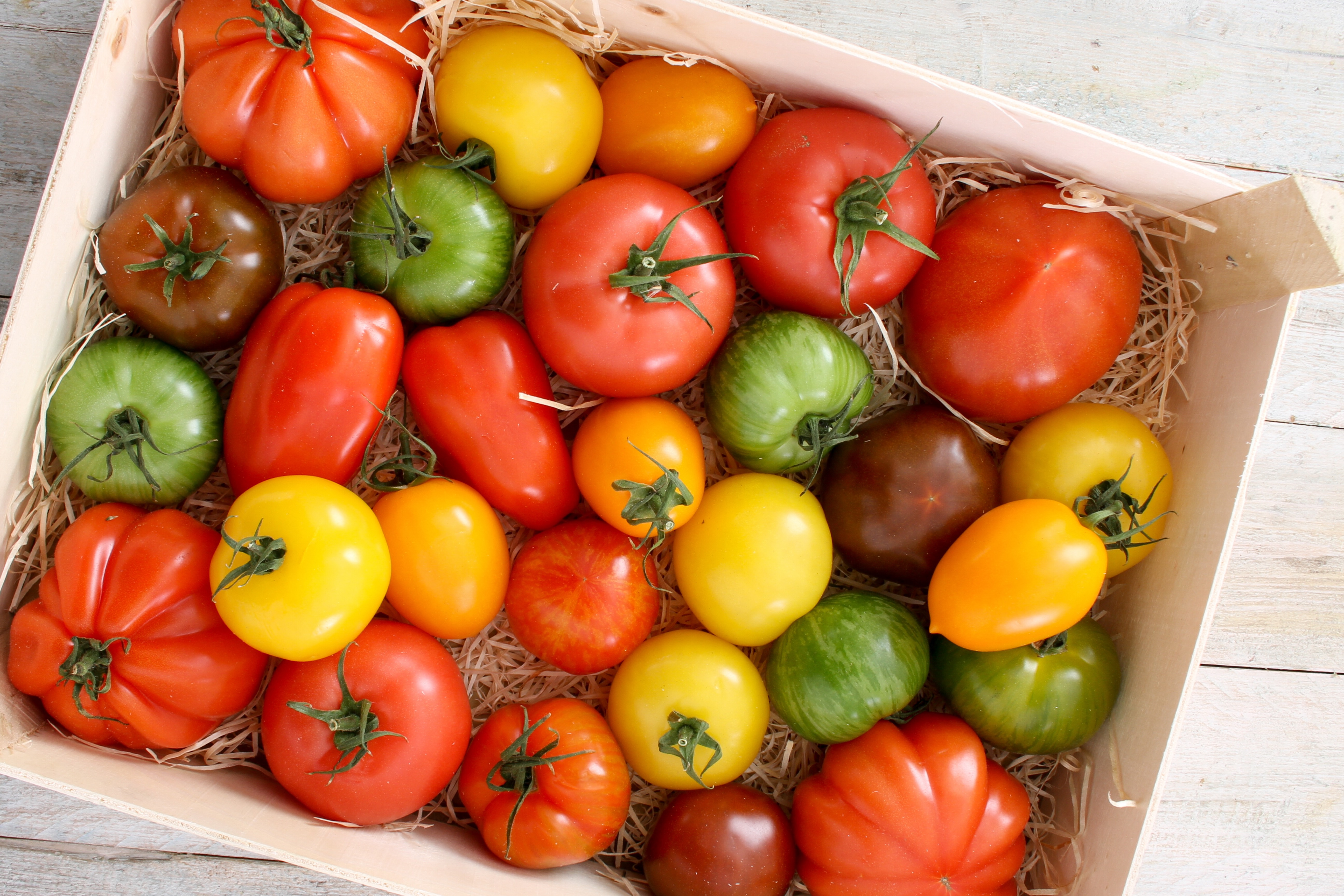 Herigate tomatoes